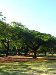 b0083405_14435146.jpg