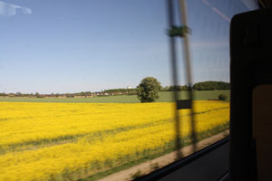 c0093205_2343207.jpg
