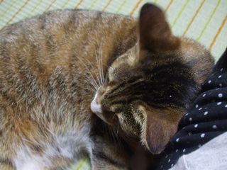 c0103205_21201099.jpg
