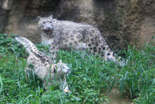 f0167208_21551994.jpg