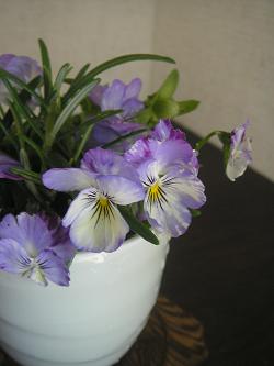 f0008510_22493068.jpg