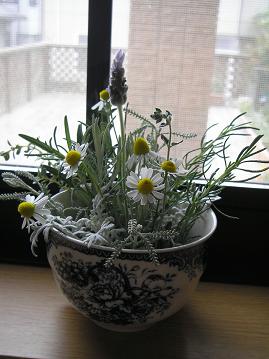 f0008510_22495123.jpg