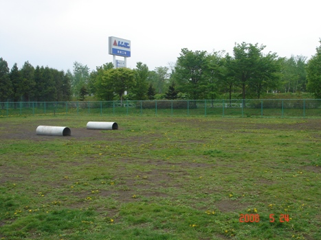 a0109914_2139134.jpg