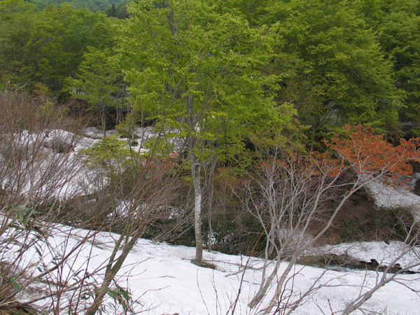f0107315_23253453.jpg