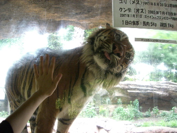 c0083618_2254171.jpg
