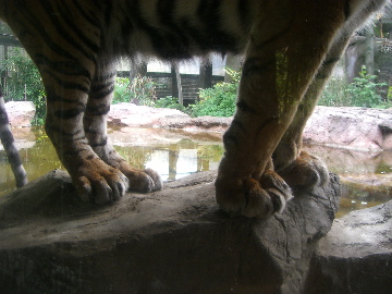 c0083618_2259250.jpg