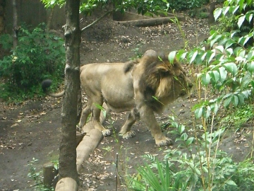c0083618_23113292.jpg