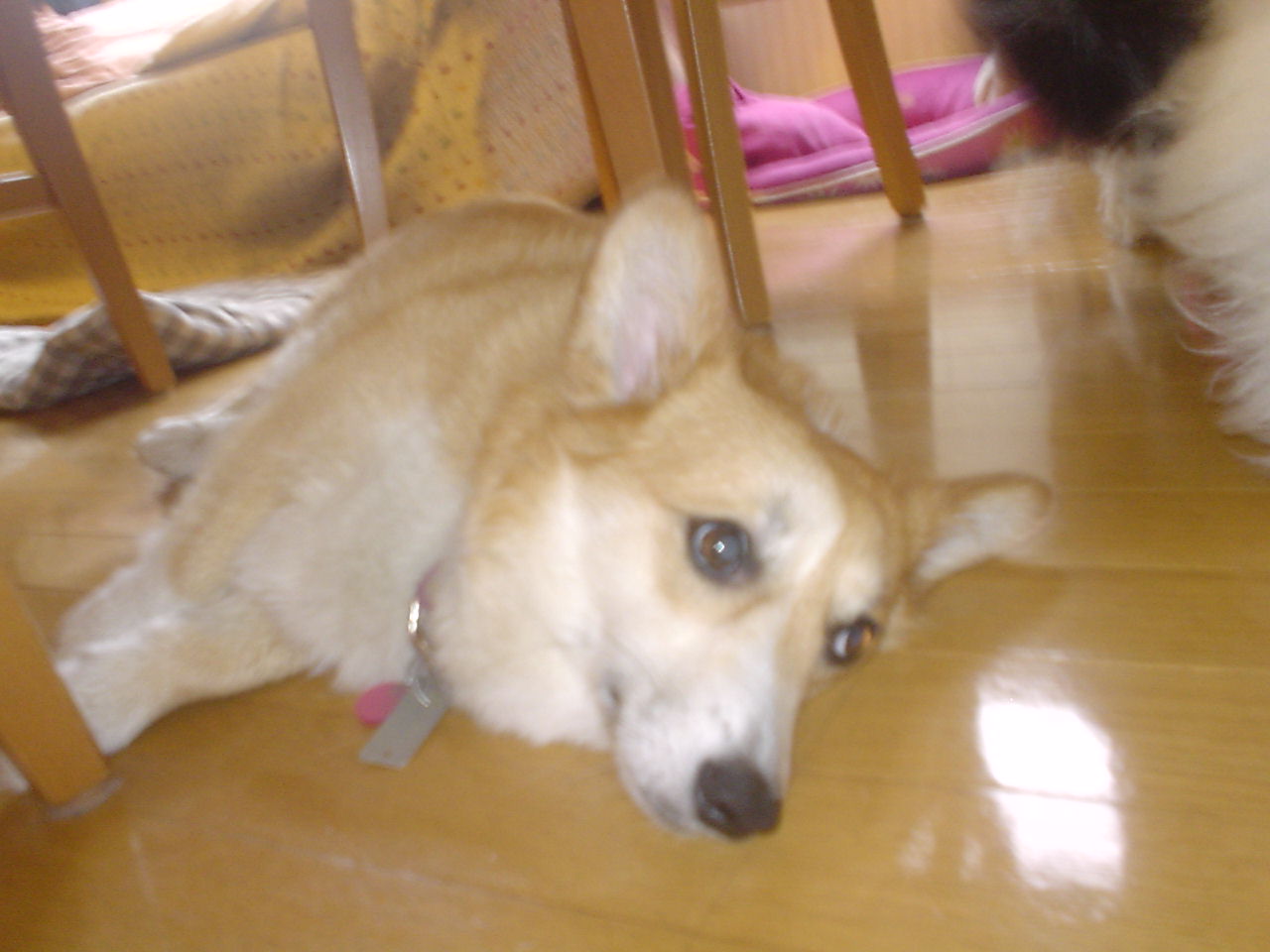 c0150520_0152359.jpg