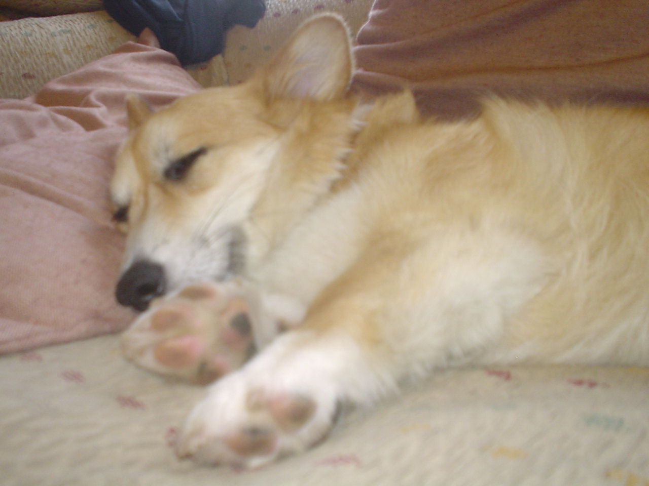 c0150520_0162589.jpg