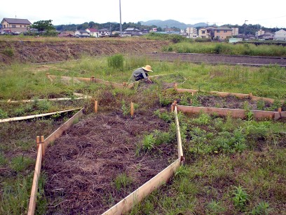 c0007822_9164710.jpg