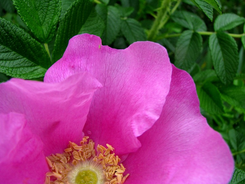 a0004023_2143963.jpg