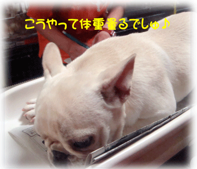 b0078030_0131431.gif
