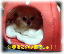 b0078030_0192177.gif