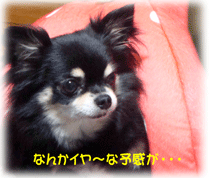 b0078030_0201156.gif