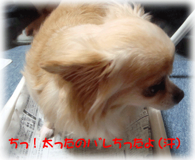 b0078030_0221865.gif