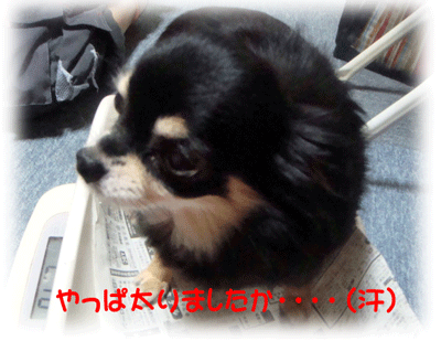 b0078030_023258.gif