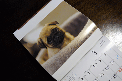 b0078030_0354727.gif
