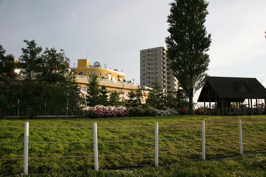 f0124830_15582532.jpg