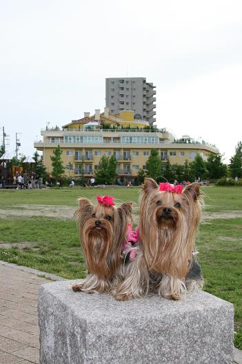 f0124830_16462255.jpg