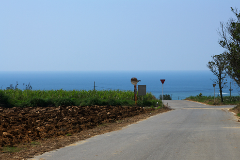 c0014035_022377.jpg