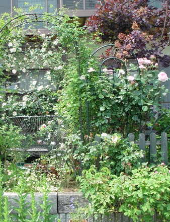 f0060535_071461.jpg