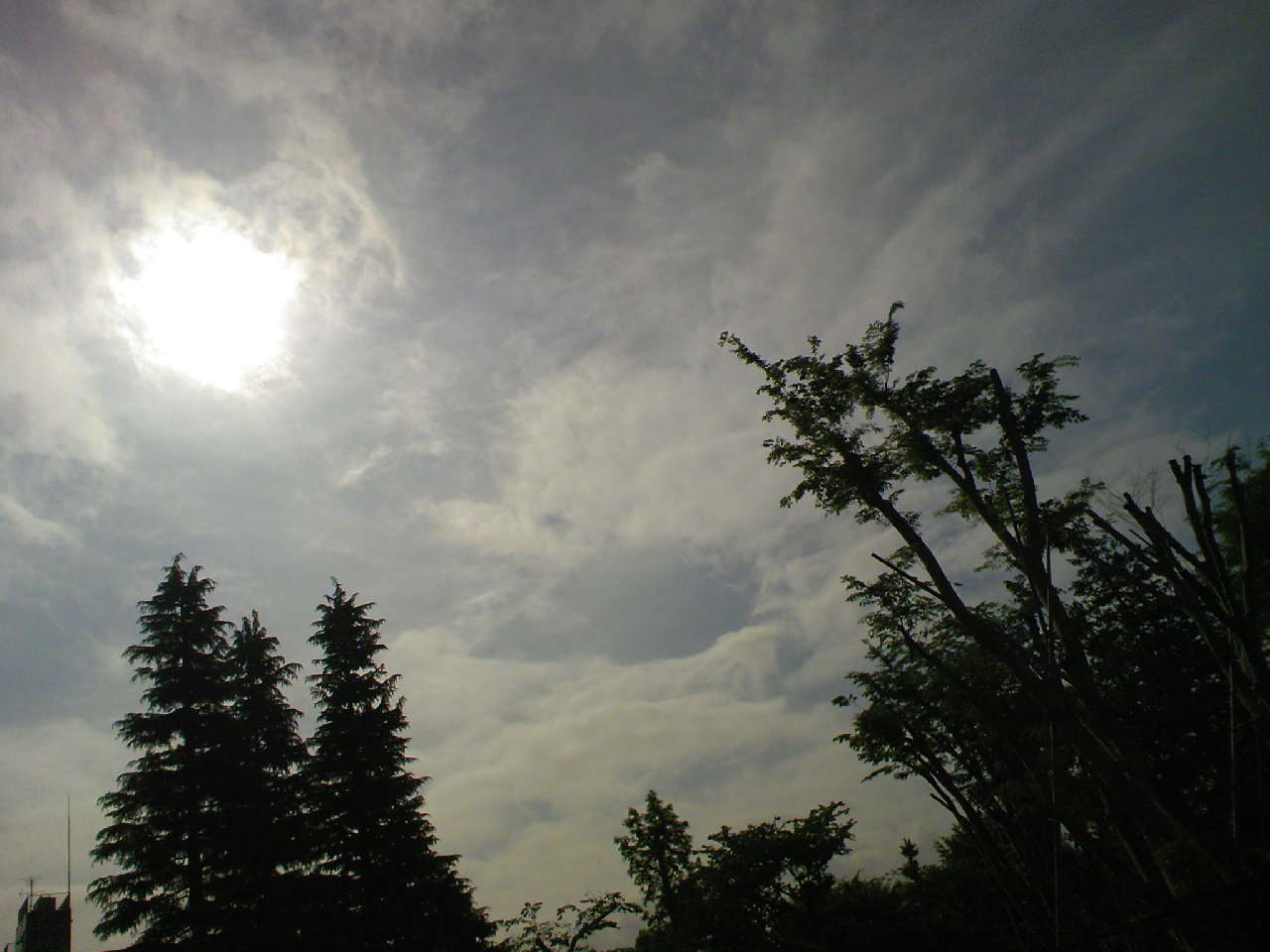 c0125637_8482212.jpg
