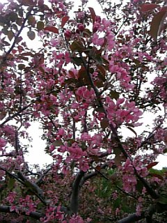 b0001440_14364118.jpg