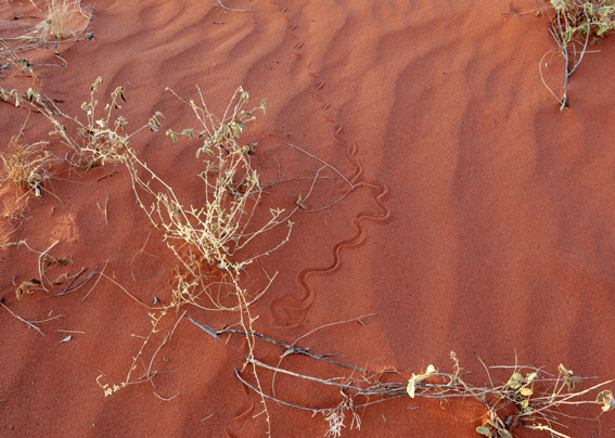 f0161647_9564138.jpg