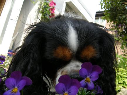 c0145250_11313063.jpg