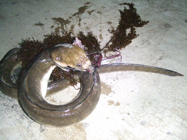 c0019951_17555363.jpg