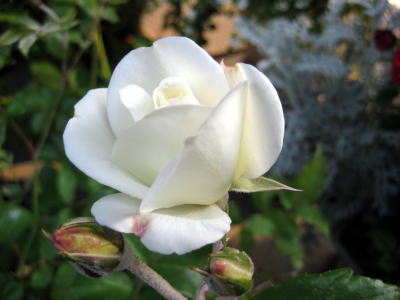 c0147952_21282890.jpg