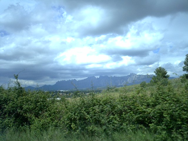 d0061952_4124473.jpg