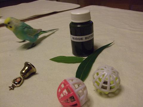 f0149057_2246794.jpg