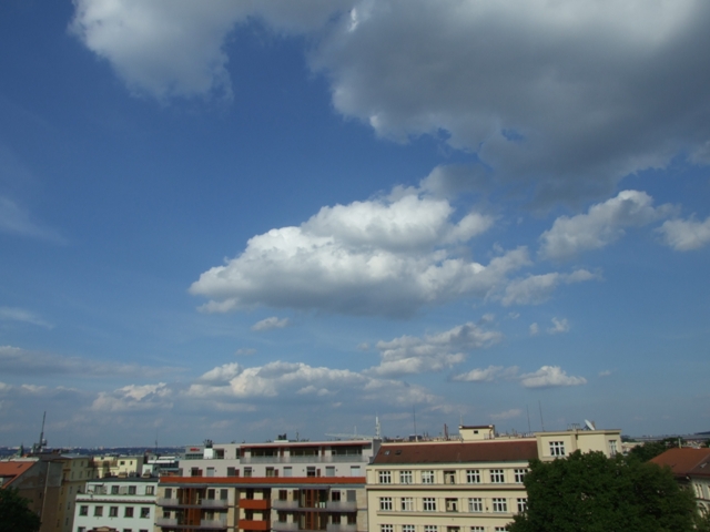 e0134658_1725052.jpg