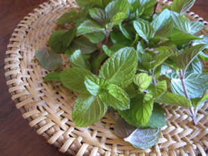 c0153259_15474351.jpg