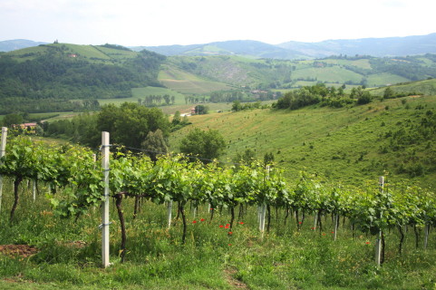 f0077159_5351948.jpg