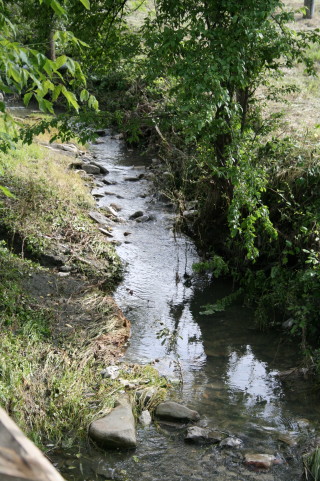 f0077159_548533.jpg
