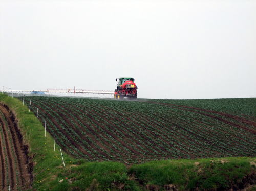 e0088260_23244054.jpg