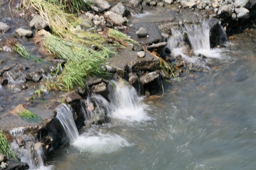 b0138661_05957.jpg