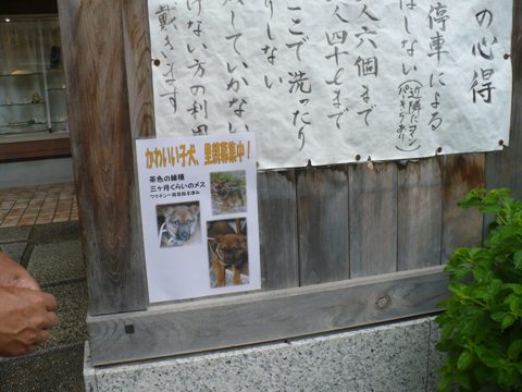 a0063364_2346679.jpg