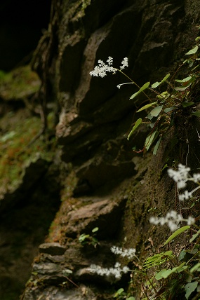e0054067_035276.jpg