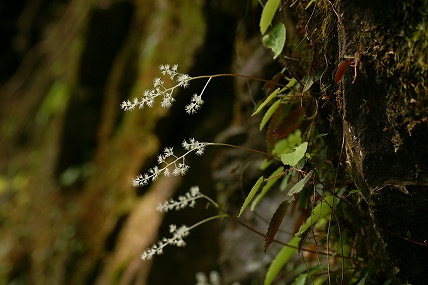 e0054067_04126.jpg
