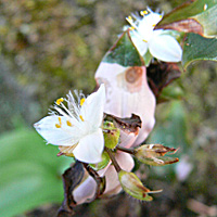 a0050669_22462752.jpg