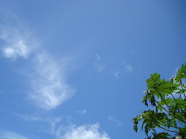 a0101871_251949.jpg