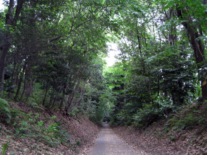f0174174_959732.jpg