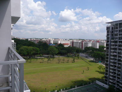 a0002177_1545324.jpg