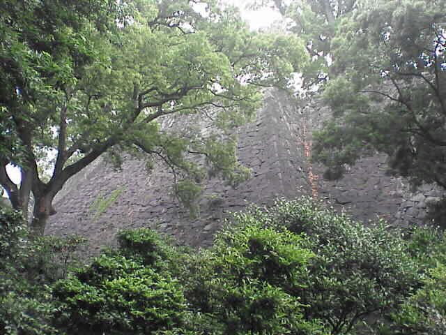 c0069380_1127991.jpg