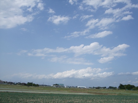 c0078480_22512617.jpg