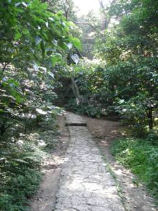 c0111882_9311477.jpg