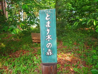 c0092983_6365992.jpg